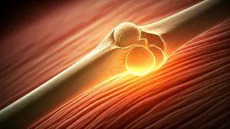 Unlock Faster Healing: The Essential Role of Vitamin D in Injury Recovery