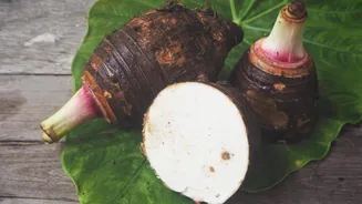 Dasheen: All about this nutrient-dense root vegetable