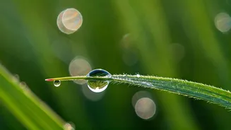 Cancer Horoscope Today, April 2, 2026: Balancing Enthusiasm with Prudent Choices