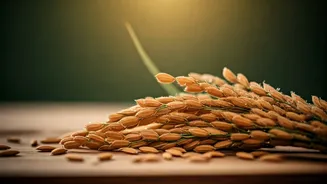 Rice Bran Is Perfect For Nourishing Skin Care