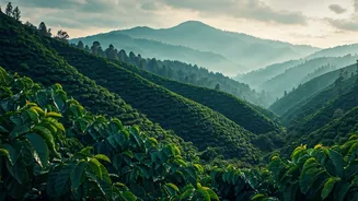 Why Smart Backpackers Head To Mist Shrouded Chikmagalur Peaks