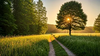 Outdoor Timing Can Make Or Break Summer Energy