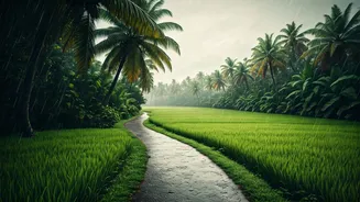 Monsoon Magic Makes Kerala A Hot Travel Pick