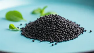 Sabja Seeds Are The Cooling Add-On Winning