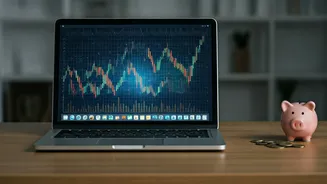 Vocalizing Money Limits Openly Rules Personal Finance Feeds Online