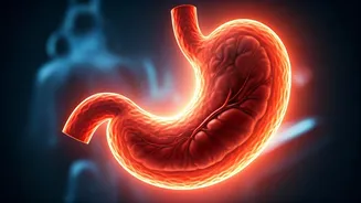 Related Stories banner