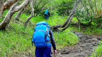 Western Ghats Monsoon Trekking: Safety Gear Essentials And Environmental Guidelines For Trekkers