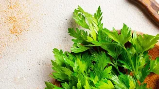 Parsley Recipe Ideas: Parsley Beyond A Decorative Garnish