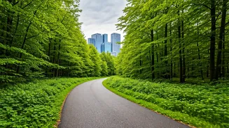 Navigating Career Paths: Insights for Today's Workforce