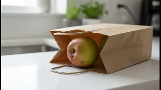 Quick-Commerce Grocery Safety Could Help Online Grocery Shoppers Document and Escalate Unsafe Orders, but Evidence Still Matters