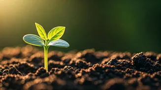 Related Stories banner