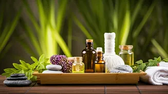 Celebrating Wellness: A Guide to Holistic Health