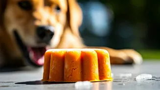Frozen Pumpkin Puree Enrichment Toys Combat Heavy Summer Pet Boredom