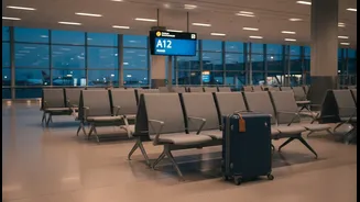 Flight Cancellations Need Calm Rebooking Habits