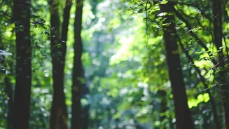 A Shaded Route Can Feel Very Different from an Exposed One