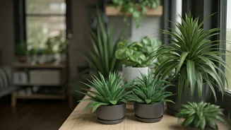 Indoor Greens Can Make Tiny Homes Softer