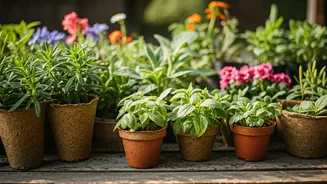 Grow your indoor jungle via plant swaps