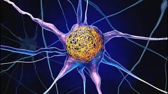 Study links higher vitamin D in 30s to less tau