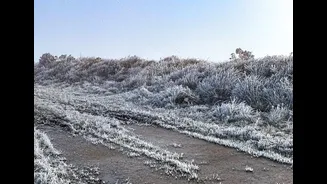 Santa Catarina registra temperaturas negativas em cidades da serra