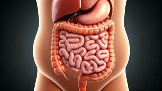 Why Is My Body Bloated Or Not Losing Weight?