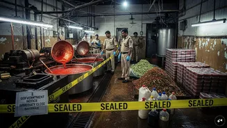 ‘Rotten pulp’ ketchup to fake paneer to ‘detergent’ milk: Food safety cases across India