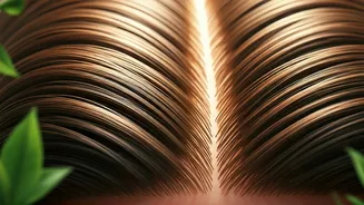 Related Stories banner