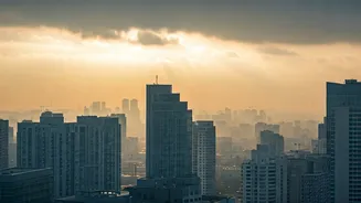 Delhi Air Quality: Fallout Over Alleged Inaction & Blame