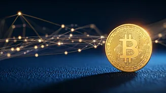 Aquarius Daily Forecast: February 5, 2026 - Financial Gains & Harmonious Connections