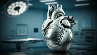 10 Life-Extending Tips: Insights from a NYC Cardiologist