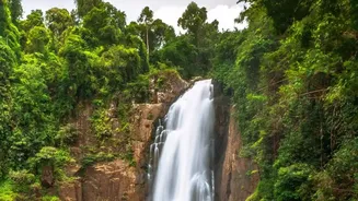 Nature Tourism Picks Up Across Maharashtra As Waterfalls Start Flowing