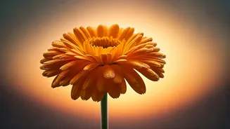 Hanuman Jayanti 2026: 50+ Heartfelt Wishes & Messages for Family & Friends