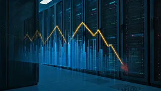 FPI Withdrawals: Analyzing November's Market Shifts