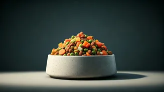 Human-Grade Pet Food Is India’s New Bowl Goal