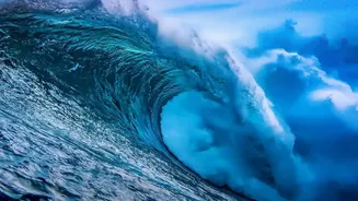 Why the Pacific Can Shrink Even While Sea Levels Rise