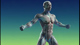 Why functional strength shift signals departure from traditional weight loss fitness concepts