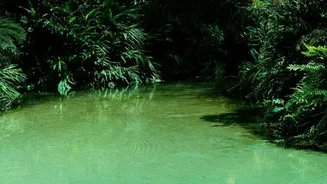 Why Krabi's emerald pool and hot springs are popular budget stops on visa-free Thailand travel routes