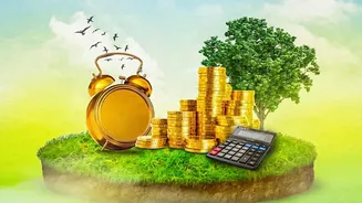 UPI growth puts the cost of accepting digital payments under scrutiny