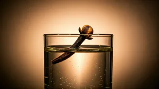 Clove Water for Skin: Unpacking the Viral Trend for Acne and Radiance