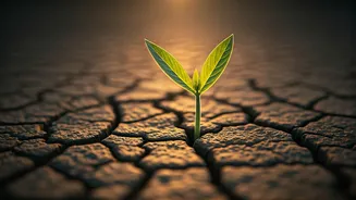 Unlock Better Health: How 5 Extra Minutes of Walking Can Transform Your Well-being