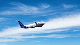 IndiGo Flight Disruptions: What Happened?