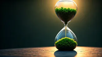 Top 10 Cities Worldwide for a Centenarian Lifestyle: A Longevity Study Revealed!