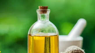 How To Treat Fungal Growth And Pests On Balcony Plants Using Natural Neem Oil Solutions Today