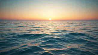 Related Stories banner