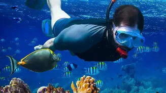Why The Andamans Offer Clear Blue Waters And Unique Marine Experiences For Domestic Adventurers