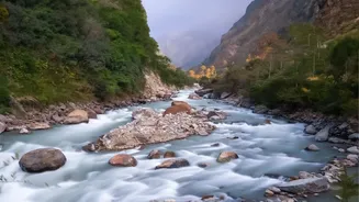 Quiet Green Holidays: Offbeat Himachal Monsoon Retreats In Tirthan Valley And Shoja
