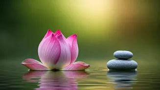 Bhagavad Gita's Wisdom: Detachment vs. Indifference for Inner Peace