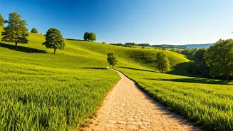 Exploring India's Charms: A Travel Guide