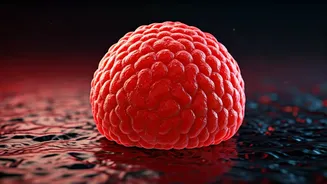 Unveiling Nipah Virus: 10 Facts You Need to Know