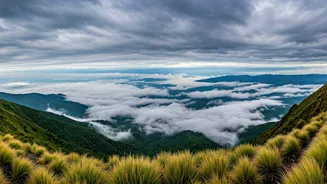 Walk Above The Clouds This Monsoon Season