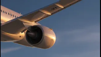 Why Airline Reliability Is Gaining Ground With Passengers